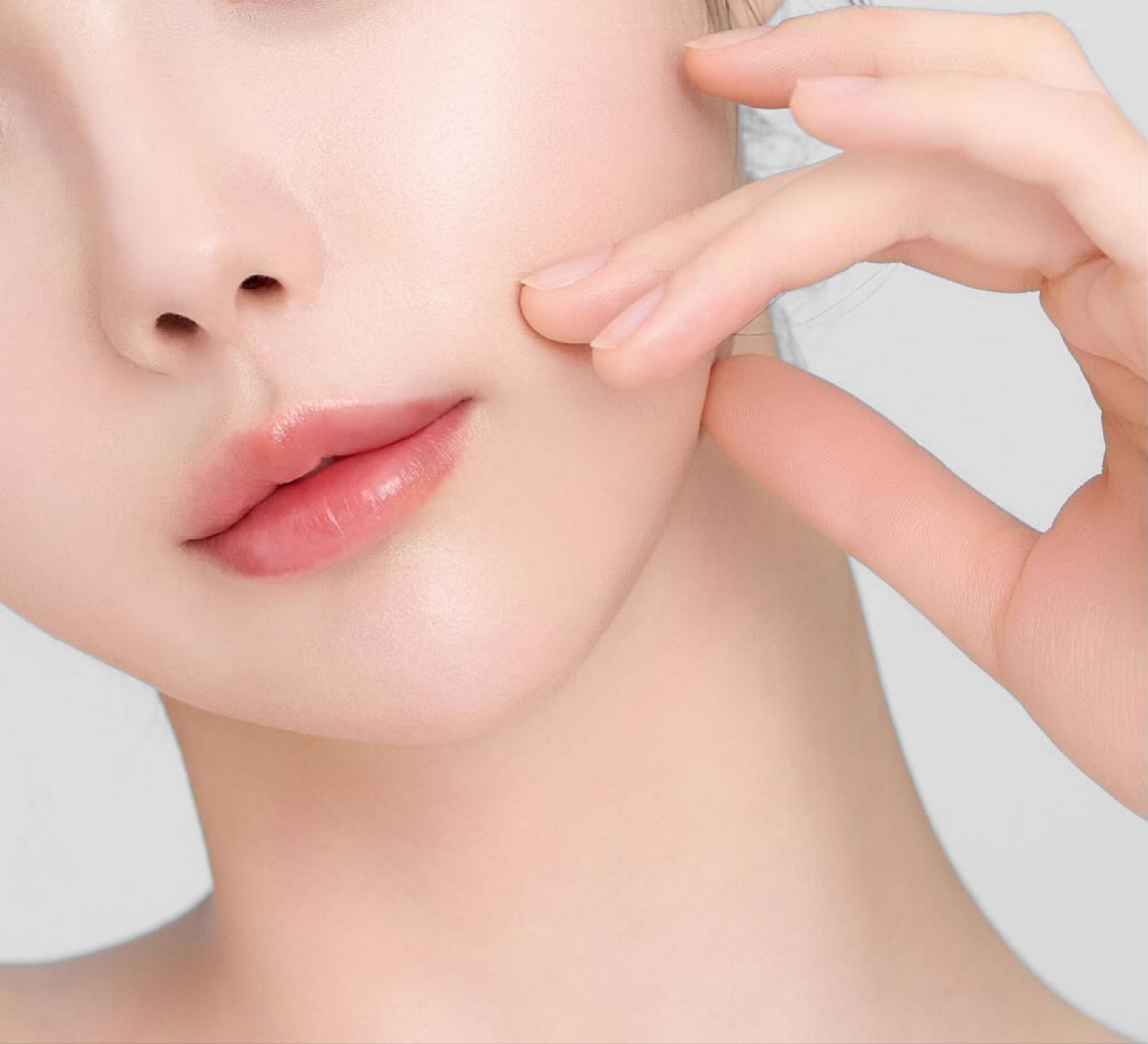 나노·마이크로 지방이식